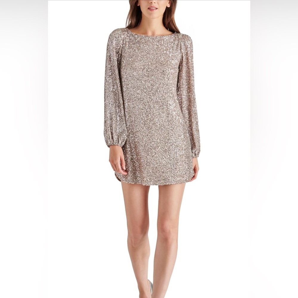 Steve Madden Delorean Dress